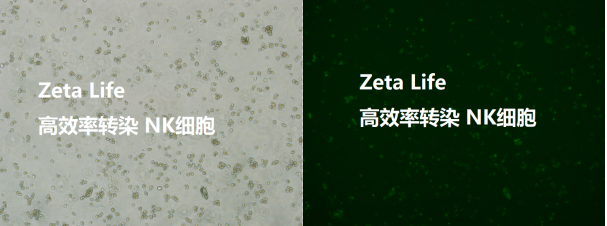 香港宝典免费资料大全