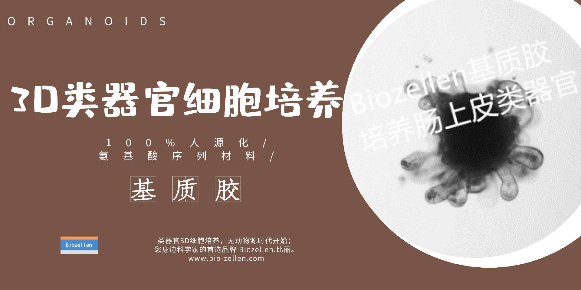 2-1 Biozellen®3D类器官培养基质胶套装.jpg