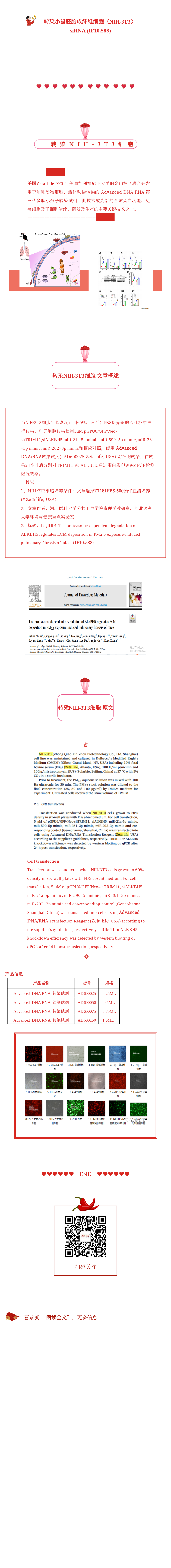 高清 (1).png