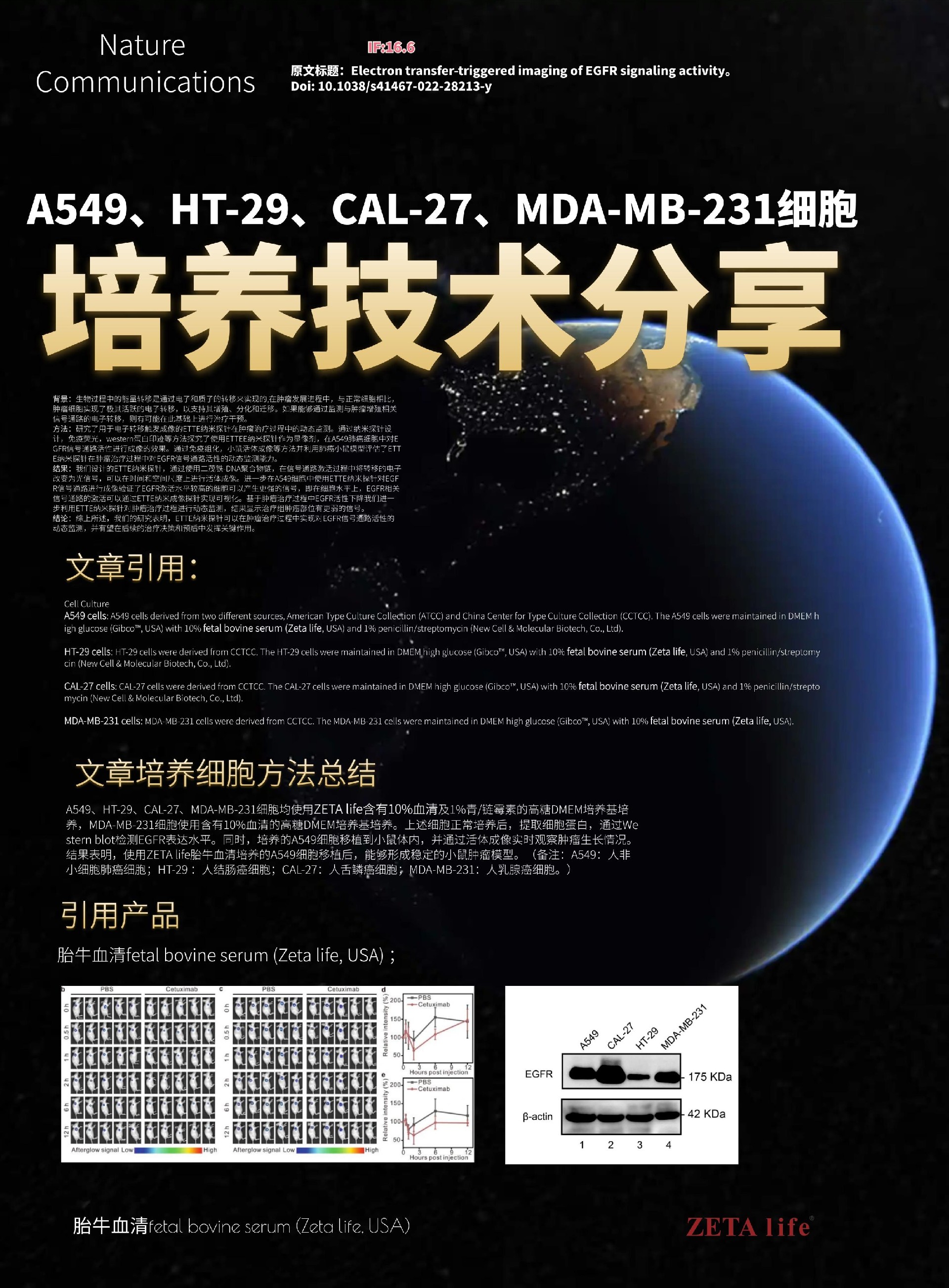 890.jpg