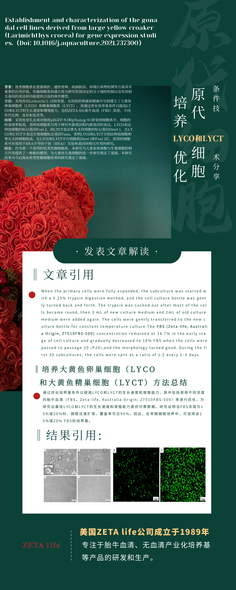 编辑好图片.png