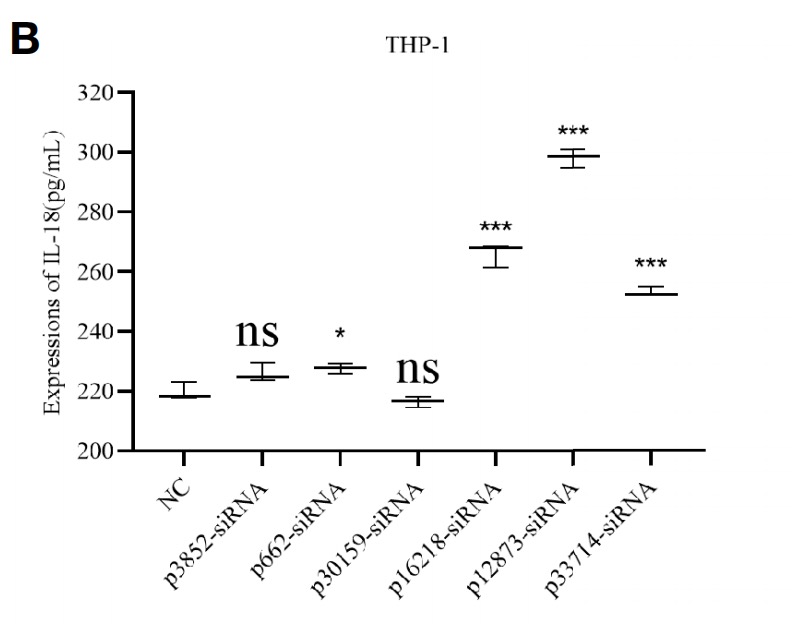 图3BHP-1细胞转染siRNA靶向lncRNAs siran.jpg