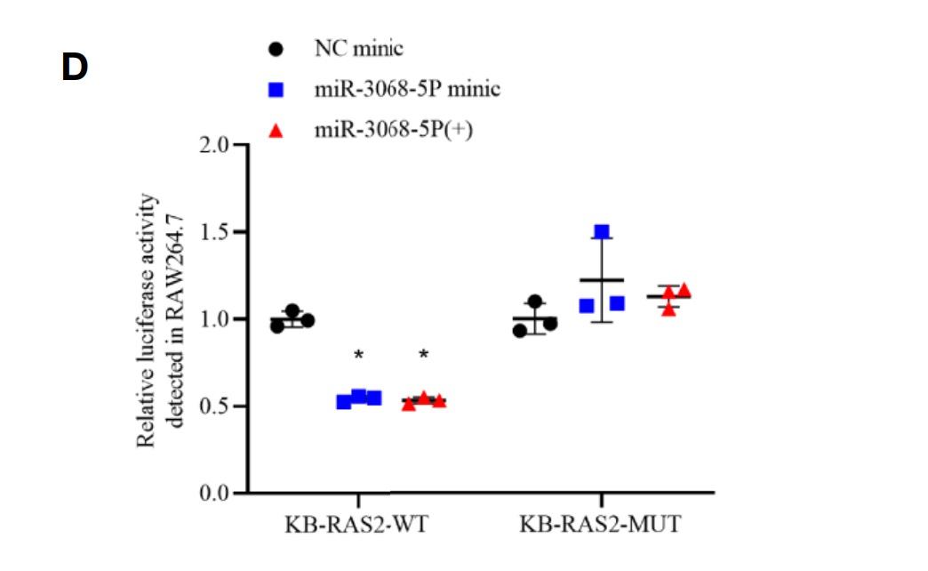 图5CRAW264.7转染miR-3068-5p mimic小分子.jpg